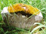 image of grave number 662568